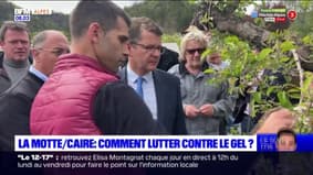 Alpes-de-Haute-Provence: les élus tentent de lutter contre le gel à La Motte-du-Caire