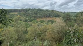 Vue du parc régional Normandie-Maine dans l'Orne.