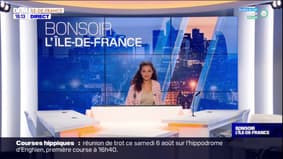 Seine-et-Marne: neuf mâts de caméras de vidéo-surveillance sciés à Nangis