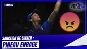 Tennis : "Si c'est un cycliste, il prend deux ans", Pineau enrage contre la suspension de Sinner