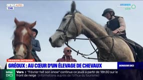 Passion Outdoor du jeudi 2 mars 2023 - Gréoux: Au cœur d'un élevage de chevaux