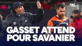 OL-Montpellier : "Savanier ? Je vais écouter mon président" avoue Gasset 