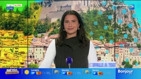 MANE : Une 35e fête de la truffe réussie 