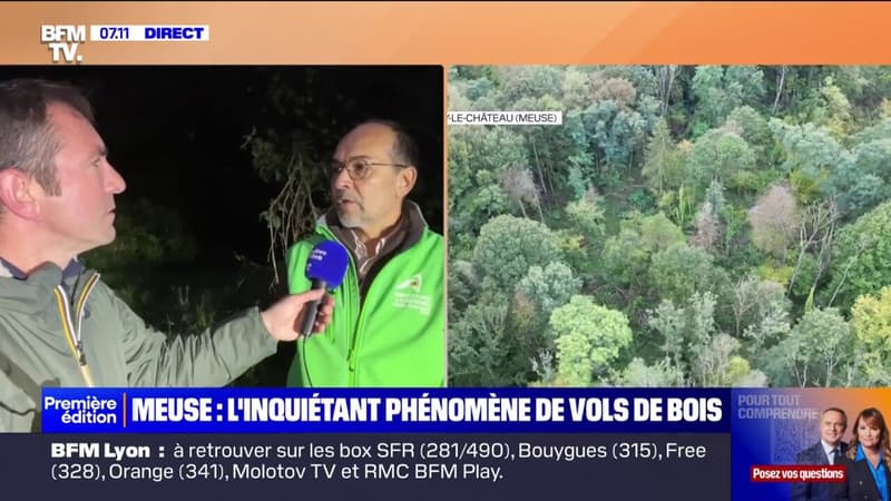 Meuse: l'inquiétant phénomène des vols de bois découpé en pleine forêt