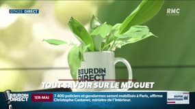 Dupin Quotidien : Tout savoir sur le muguet - 01/05
