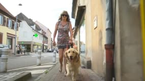 Les personnes malvoyantes refusées d'accès à certains lieux à cause de leur chien guide