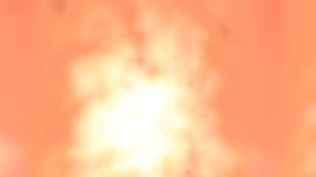 Michel Rocard, ancien Premier ministre de François Mitterrand, est mort le 2 juillet 2016 à l'âge 85 ans.