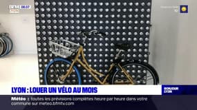 Lyon: installée depuis peu à Lyon, une entreprise néerlandaise propose des vélos en location longue durée
