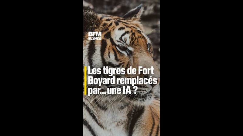 Les tigres de Fort Boyard remplacés par... une IA ?