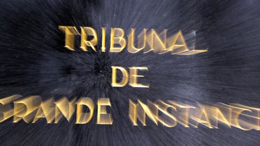 La première chambre civile du tribunal de grande instance de Paris a estimé qu'ils contestaient en fait le régime juridique applicable aux contrôles d'identité et donc la loi elle-même.