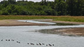 La rive asséchée d'un étang le 22 juillet 2019 dans la région de la Dombes à Villars-les-Dombes. (photo d'illustration)