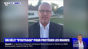 Denis Thuriot (LaREM): "Il n'y a pas de sanctions suffisantes à la clé" contre les agressions d'élus