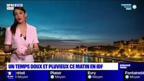 Météo Paris-Ile de France du 1er décembre : Un temps doux et pluvieux