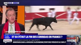 Et si c'était la fin des corridas en France ? - 04/06