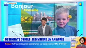 Ossements d'Émile : le mystère, un an après