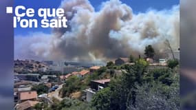 L'image de l'incendie à Marseille, ce mardi 8 juillet 2025. 