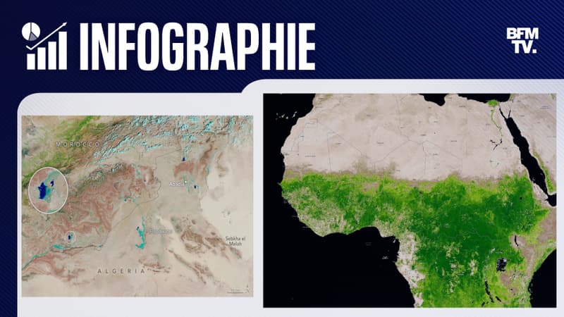 AVANT/APRES: Maroc, Algérie... Ces zones du Sahara recouvertes de verdure après de fortes pluies