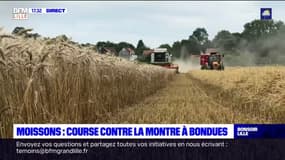Nord-Pas-de-Calais: course contre la montre à Bondues pour la moisson