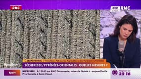 "Nous allons demander des actes" à Christophe Béchu, annonce Jean Henric, président des Jeunes Agriculteurs des Pyrénées-Orientales