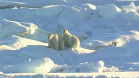 Le Pôle Nord attire toutes les convoitises