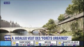 Anne Hidalgo annonce la création de "forêts urbaines" sur "4 lieux emblématiques" de Paris