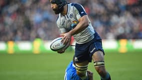 Josh Strauss
