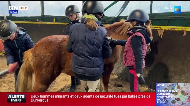 Villeneuve-d'Ascq: le poney comme thérapie chez les enfants