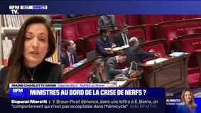 Marie-Charlotte Garin : "Dans d'autres pays, Éric Dupond-Moretti aurait démissionné" après ses armes d'honneur