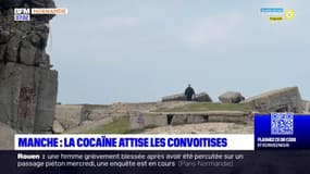 Manche: la cocaïne attise les convoitises