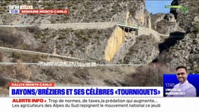 Rallye Monte-Carlo: la deuxième spéciale nocturne entre Bayons et Bréziers