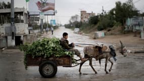 Un adolescent conduit une charrette tirée par un âne ce jeudi 13 mars à Beit Hanun, dans le nord de la bande de Gaza.