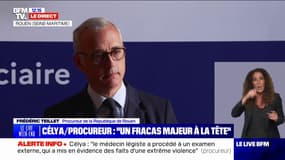 "Il a eu comme un coup de folie": la mère de la petite Célya, retrouvée morte, a indiqué au procureur de Rouen que son compagnon, principal suspect, "n'a jamais été violent"