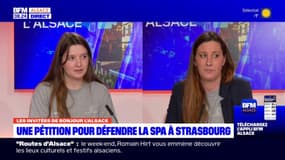 "On est entre 12 et 15 enquêteurs": la cellule maltraitance de la SPA de Strasbourg bien structurée