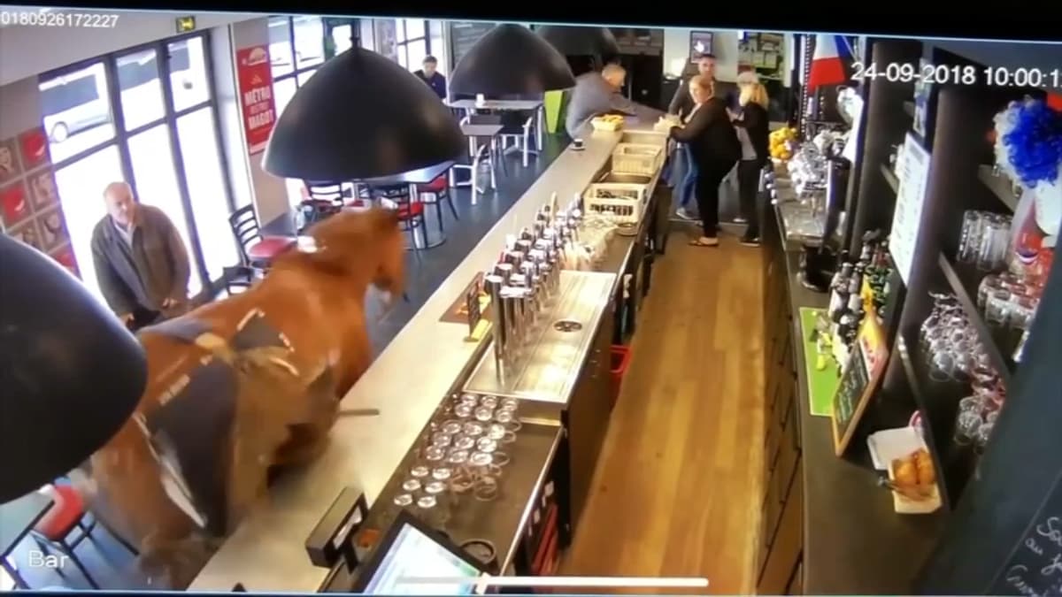placeholder video