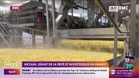 McCain, géant de la frite et investisseur en France