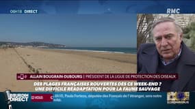 Déconfinement: vers un nouveau choc pour la faune et la flore sauvage?