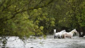 Image d'illustration - Inondations à Aimargues, dans le Gard, mardi 14 septembre