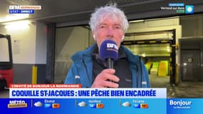 L'invité de Bonjour la Normandie du mardi 4 novembre 2025 - Dominique Lamort