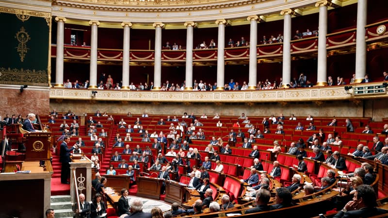 A l'Assemblée nationale, le 8 juillet 2015.