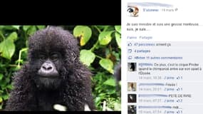 Cette publication qui compare un singe à Christiane Taubira a été reposté sur son mur par une élue UMP.