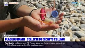 Une collecte de déchets ce lundi sur la plage du Havre