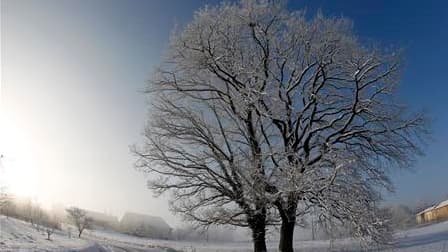A Igney, dans le nord-est de la France. Une vague de froid accompagnée de neige et verglas continuait mardi de balayer la France, où une quinzaine de département ont été placés en alerte orange, invitant à la prudence. /Photo prise le 30 novembre 2010/REU