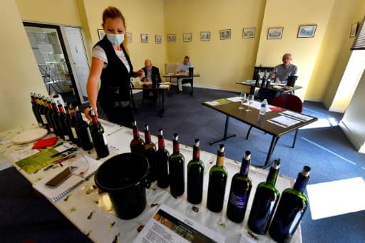 Dégustation de vin du millésime 2019 à la maison du Vin à Margaux, le 4 juin 2020 Dégustation de vin du millésime 2019 à la maison du Vin à Margaux, le 4 juin 2020