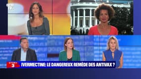 Story 2 : Ivermectine, le dangereux remède des antivax ? - 03/09