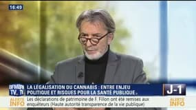 Légalisation du cannabis : entre enjeu politique et risques pour la santé publique