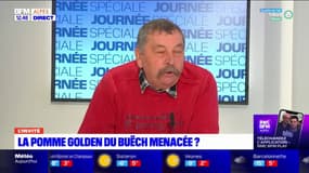 Buëch: la pomme golden menacée ? 