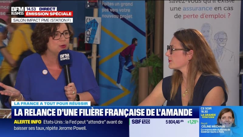 La France a tout pour réussir, émission spéciale Impact PME - Mardi 24 juin