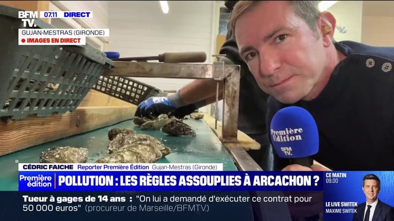 À cause des inondations et des précipitations, les ostréiculteurs du bassin d'Arcachon s'inquiètent d'un regain de pollution