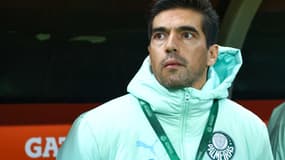 Abel Ferreira