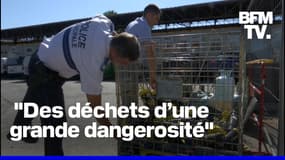 Cannes: David Lisnard interdit la vente de bonbonnes de protoxyde d’azote aux particuliers